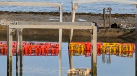 image 87